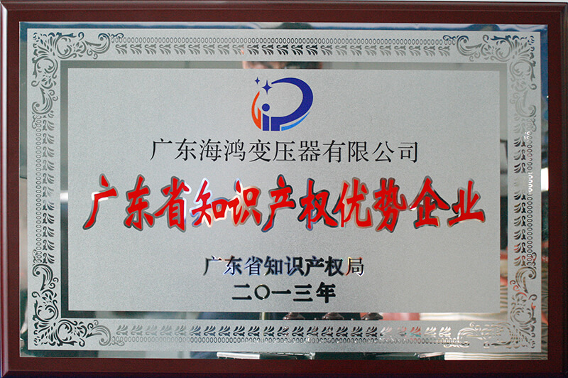 廣東省知識(shí)產(chǎn)權(quán)優(yōu)勢企業(yè)